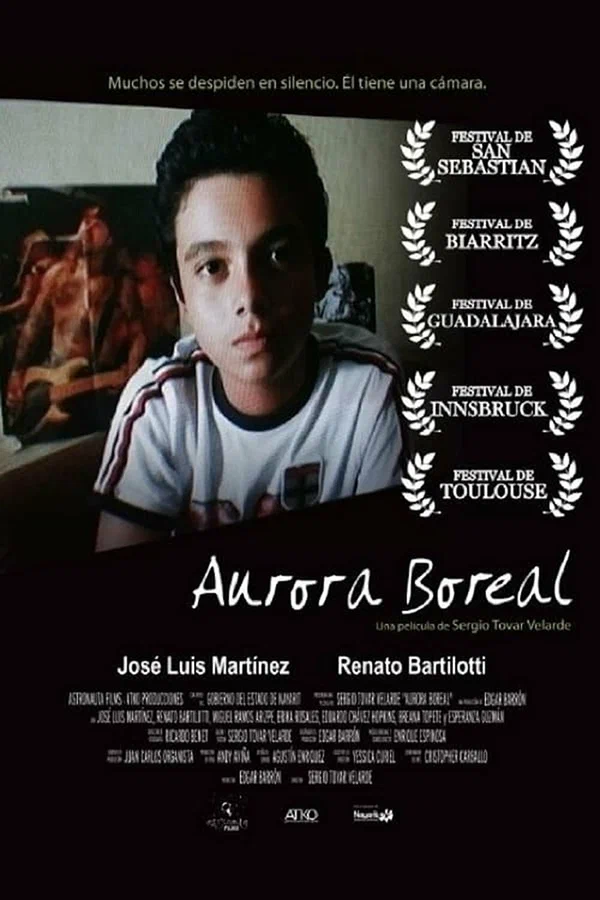 Постер: Aurora boreal