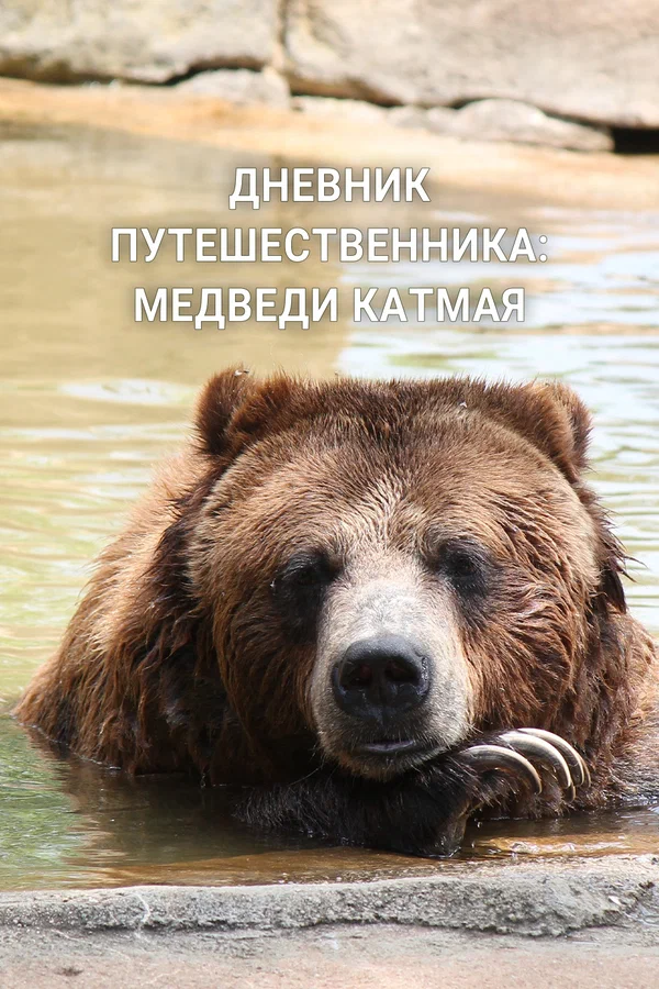 Постер: Дневник путешественника: Медведи Катмая
