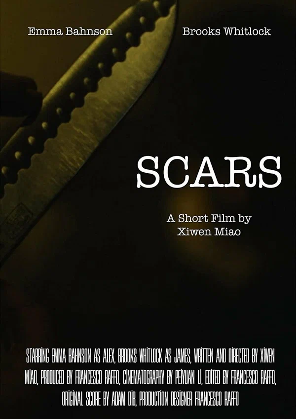 Постер: Scars