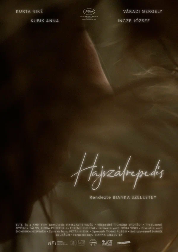 Постер: Hajszálrepedés