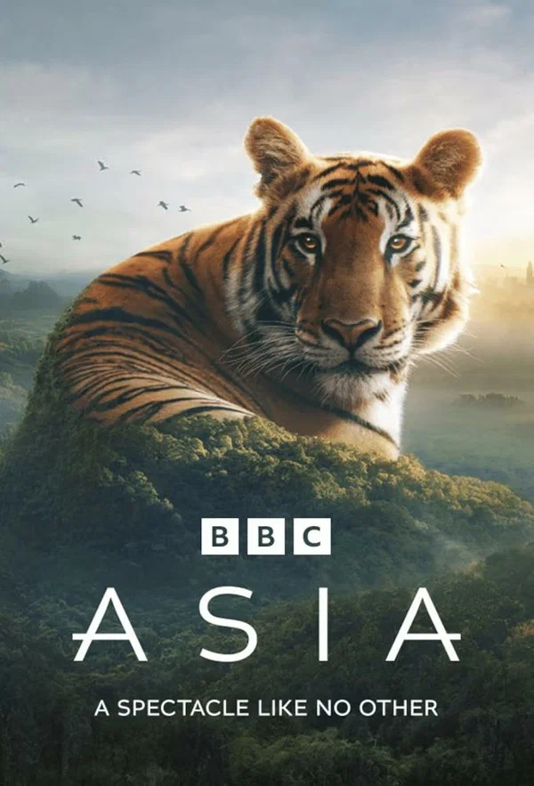 Постер: Asia