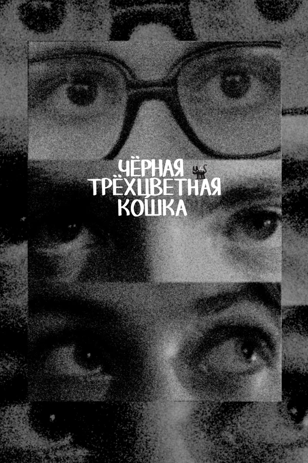 Постер: Чёрная трёхцветная кошка