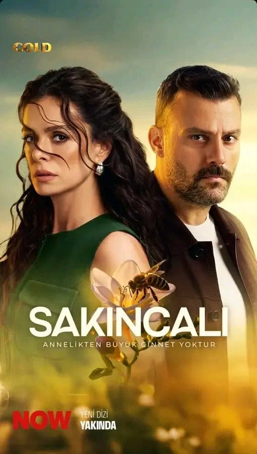 Постер: Sakincali