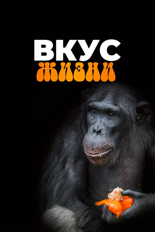 Постер: Вкус жизни
