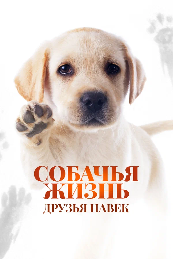 Постер: Собачья жизнь: Друзья навек