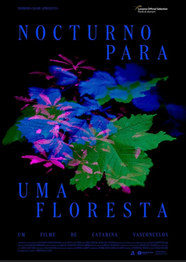 Постер: Nocturno para uma floresta