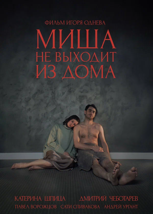 Постер: Миша не выходит из дома