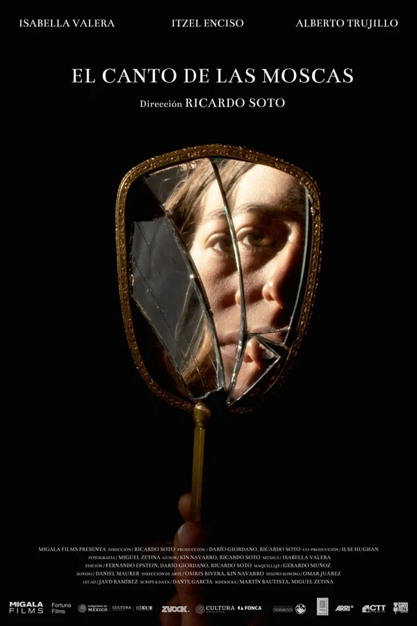 Постер: El canto de las moscas
