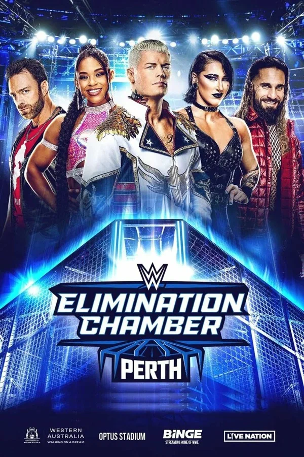 Постер: WWE Камера ликвидации