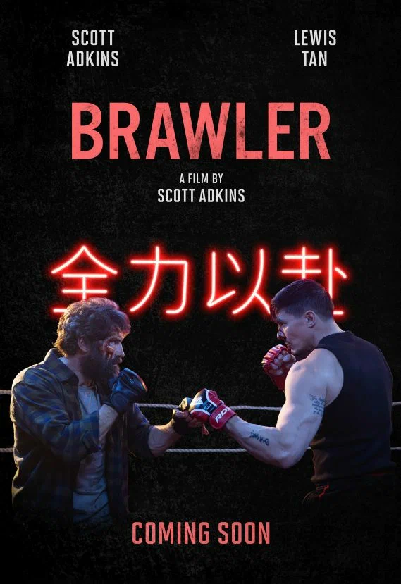 Постер: Brawler