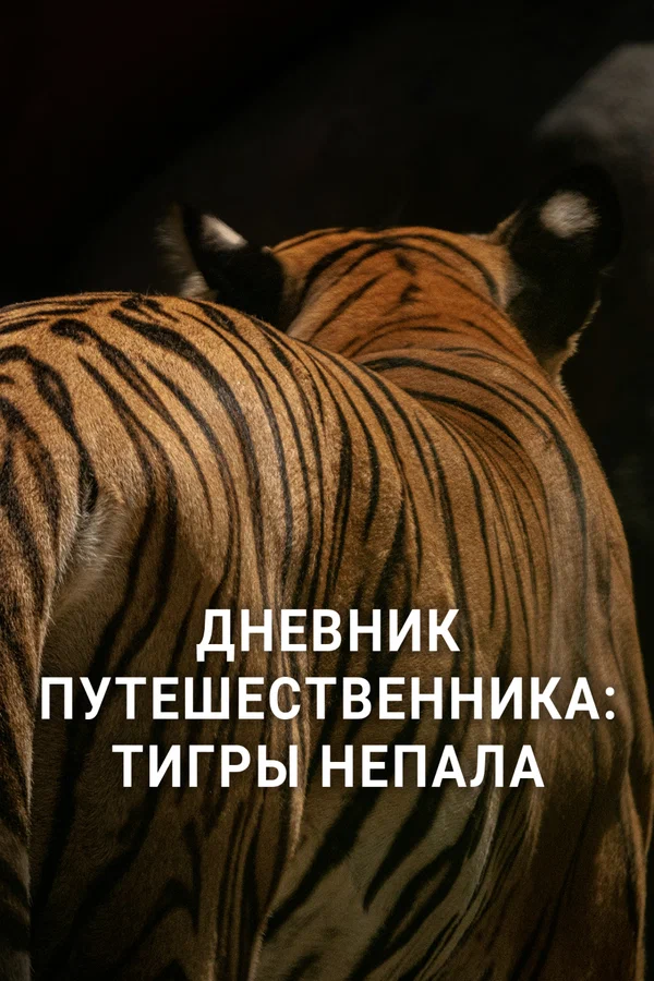 Постер: Дневник путешественника: Тигры Непала