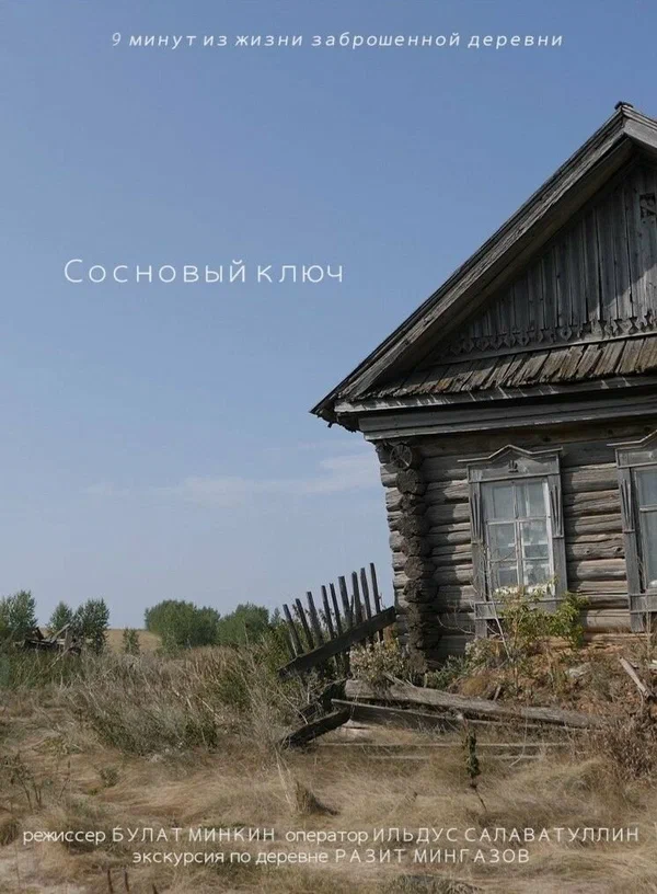 Постер: Сосновый ключ