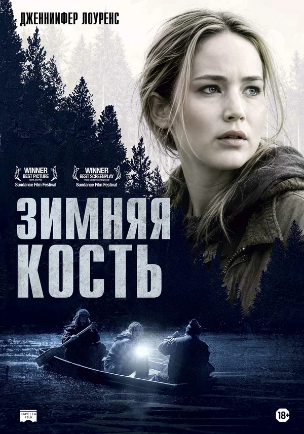 Постер: Зимняя кость