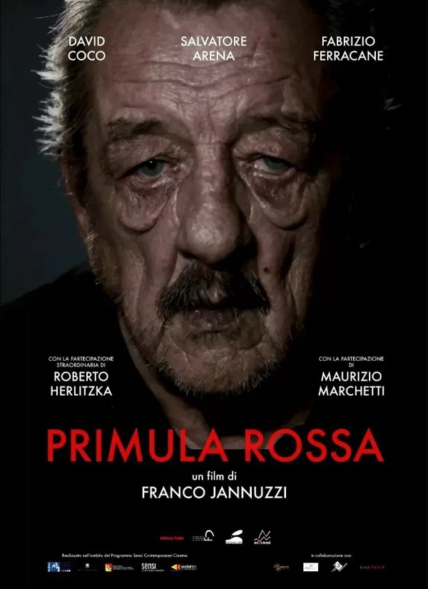 Постер: Primula Rossa