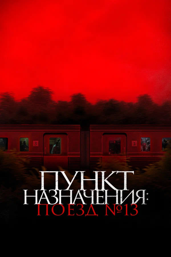 Постер: Пункт назначения: Поезд № 13