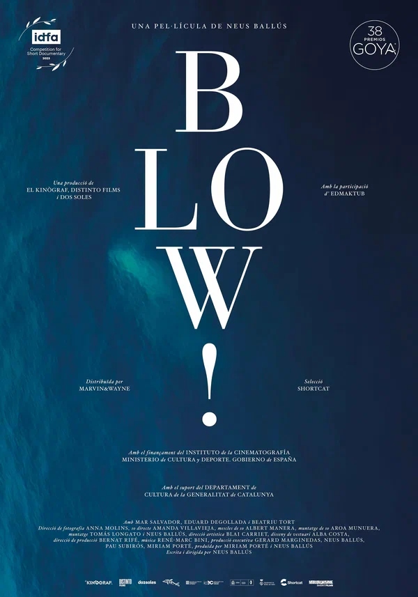 Постер: Blow!