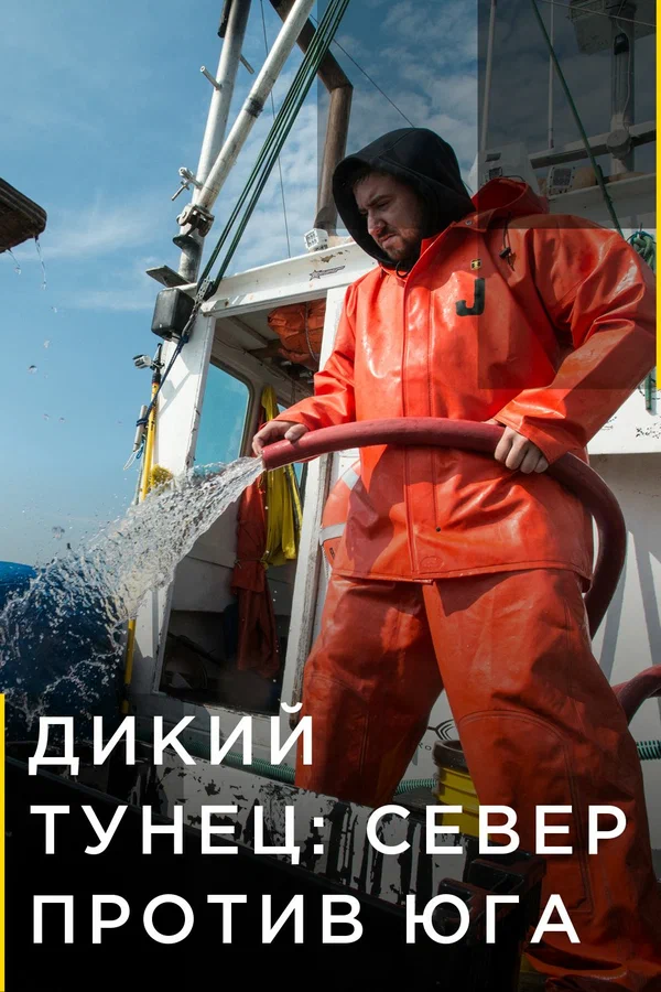 Постер: Дикий тунец: Север против Юга