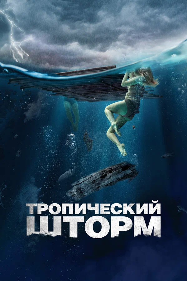 Постер: Тропический шторм