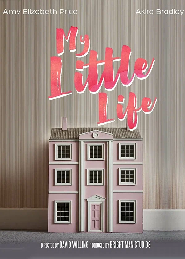Постер: My Little Life