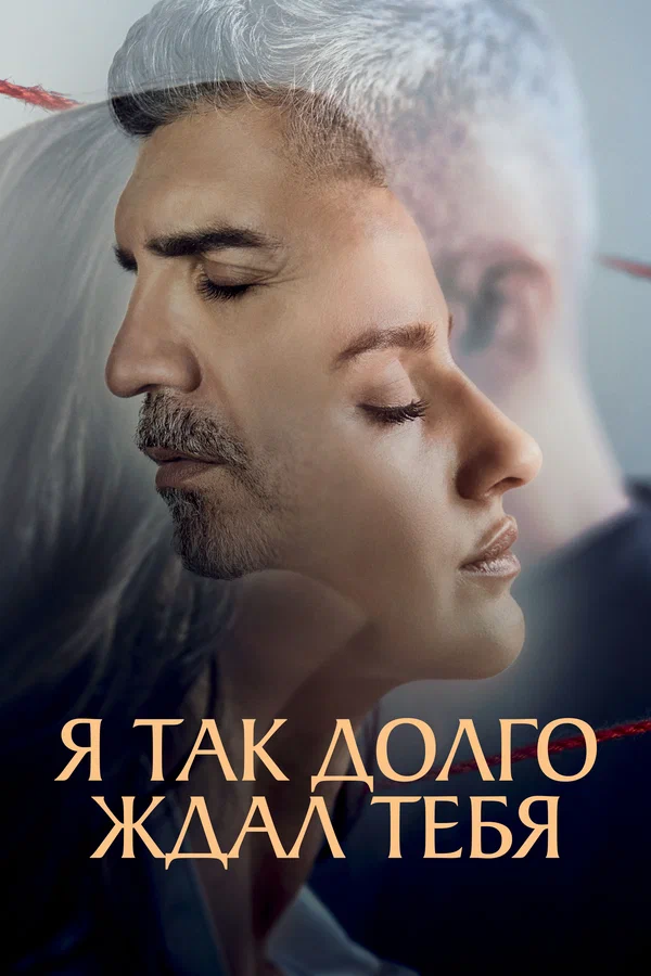 Постер: Я так долго ждал тебя