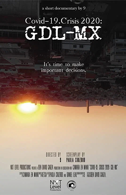 Постер: Covid-19.Crisis 2020 GDL-MX