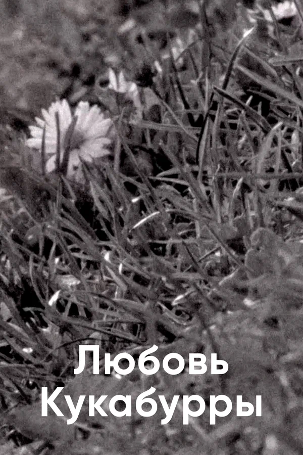 Постер: Любовь Кукабурры