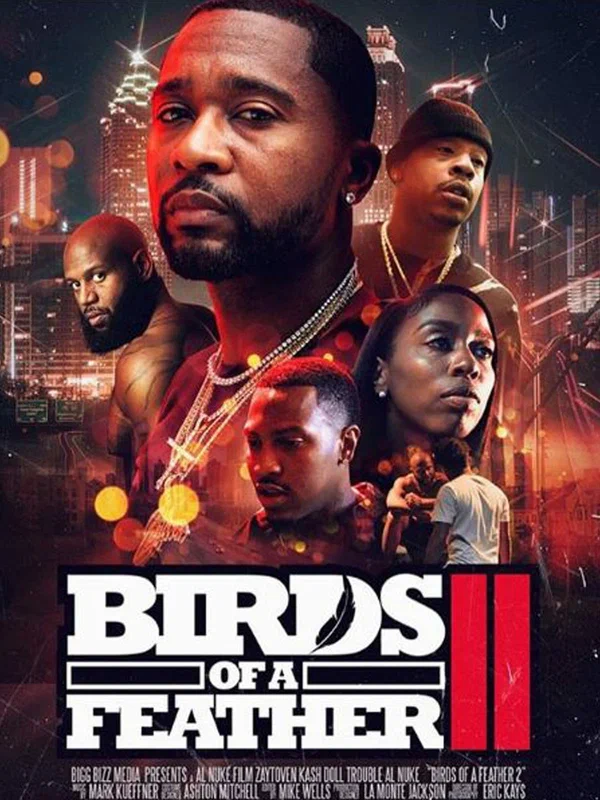Постер: Birds of a Feather 2
