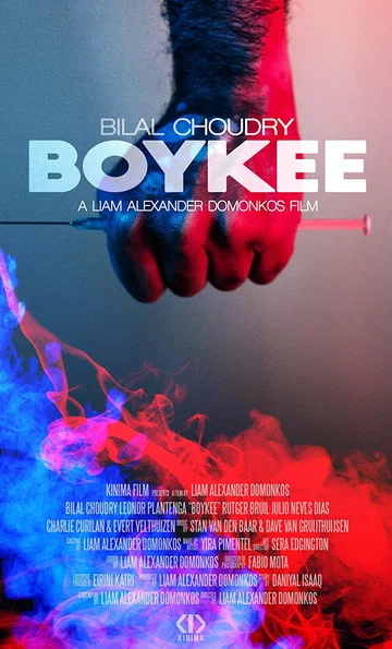 Постер: Boykee