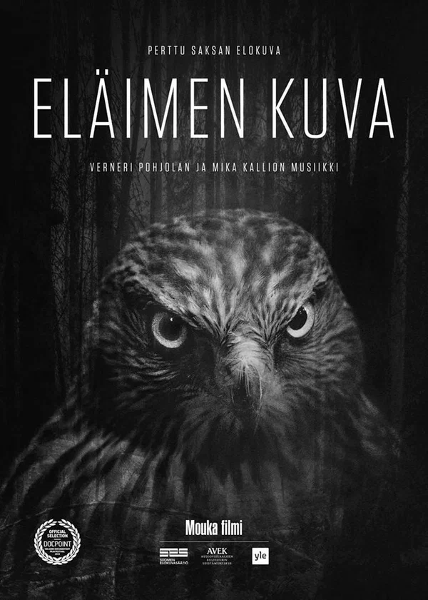 Постер: Eläimen kuva