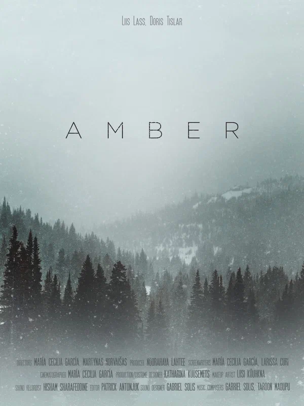 Постер: Amber