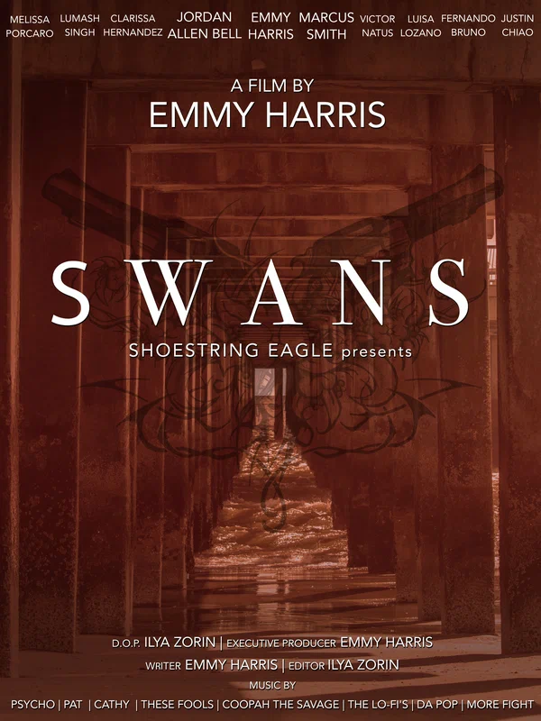 Постер: Swans