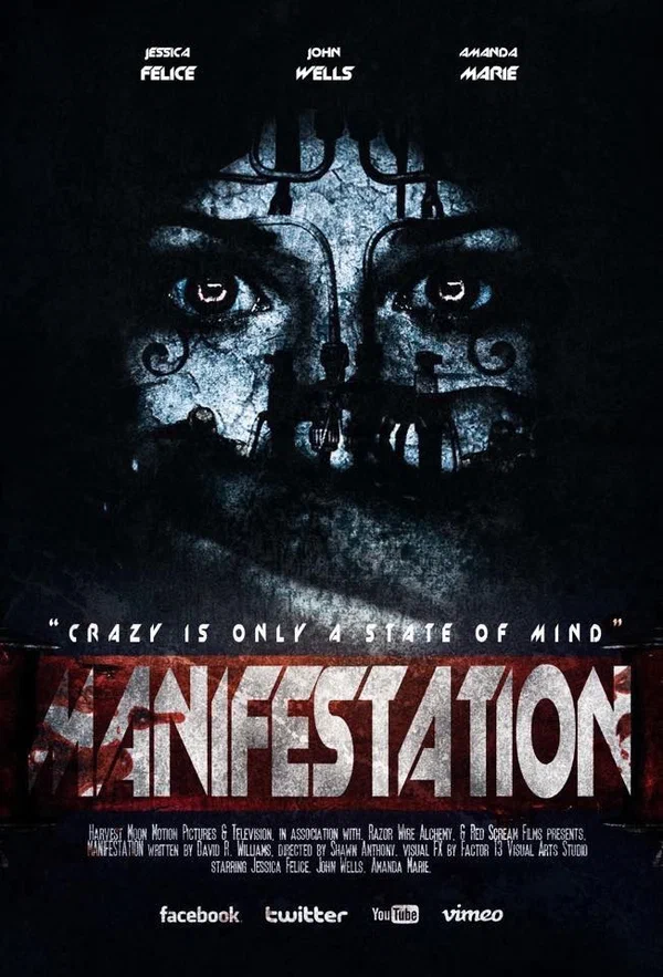 Постер: Manifestation