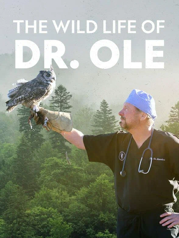 Постер: The Wild Life of Dr. Ole