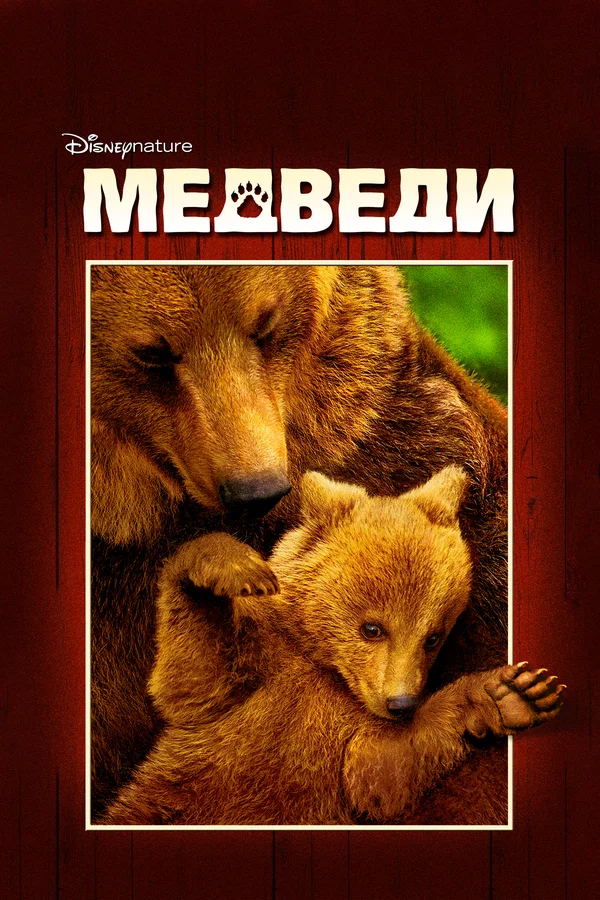 Постер: Медведи