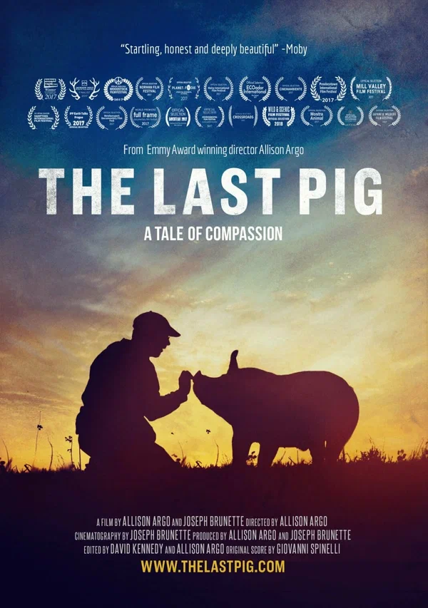 Постер: The Last Pig