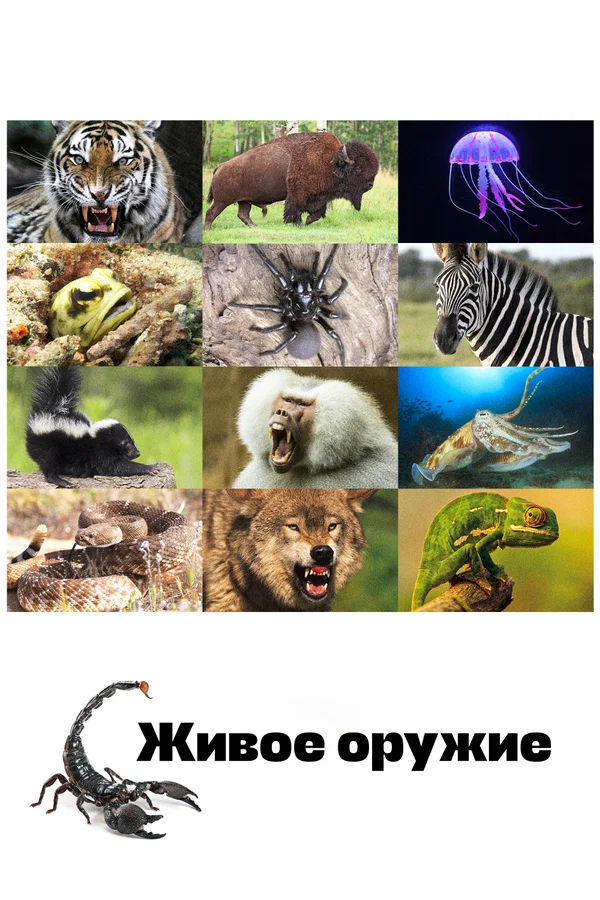 Постер: Живое оружие