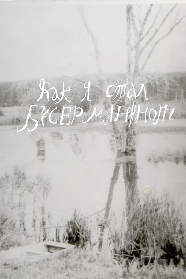 Постер: Как я стал бесермянином