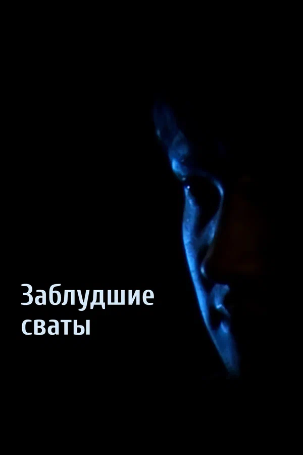 Постер: Заблудшие сваты
