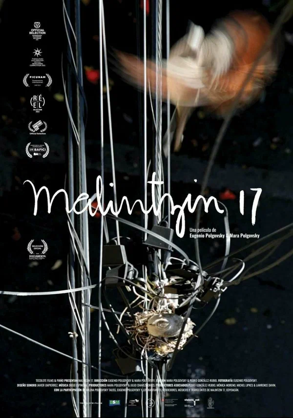 Постер: Малинсин 17