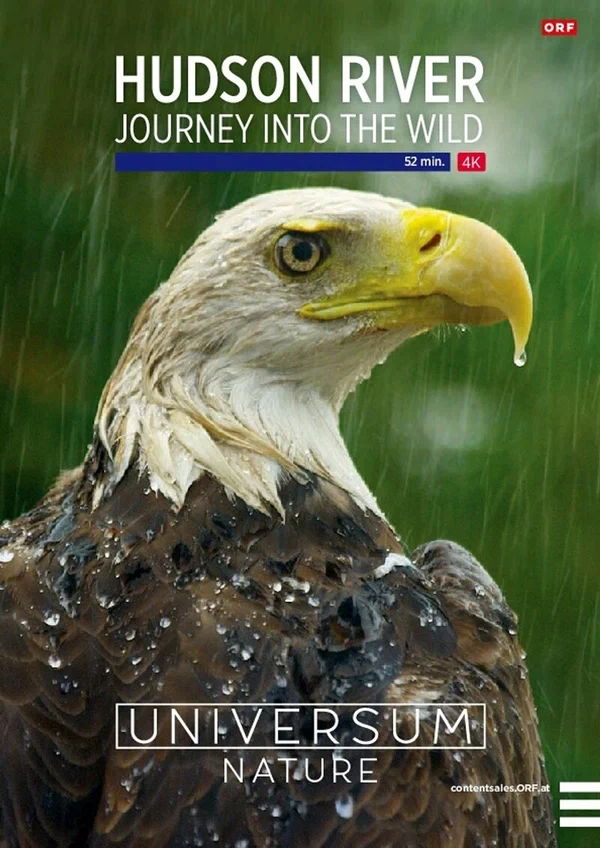 Постер: The Hudson River: Journey Into the Wild