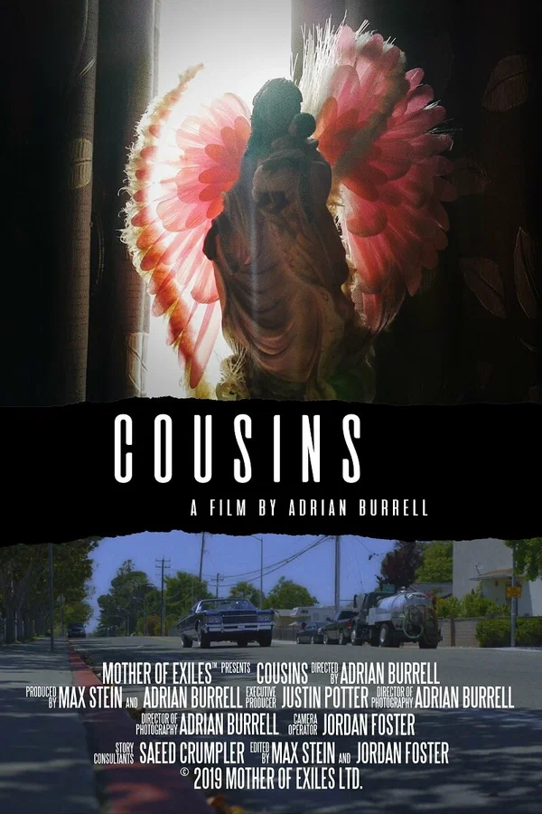 Постер: Cousins