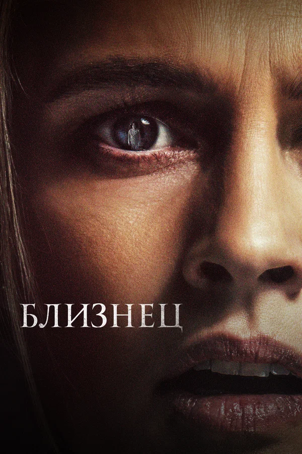 Постер: Близнец