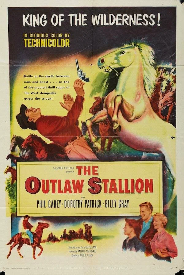 Постер: The Outlaw Stallion