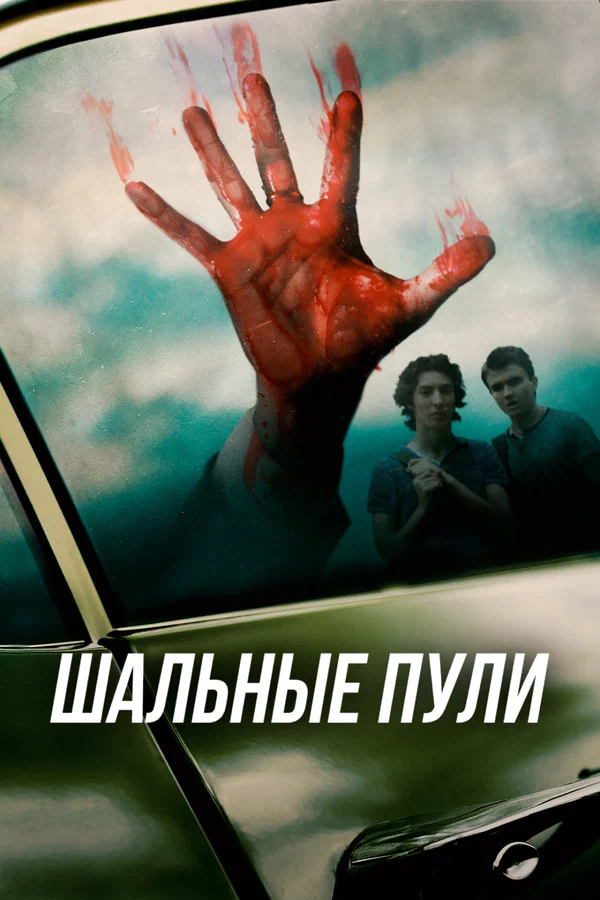 Постер: Шальные пули