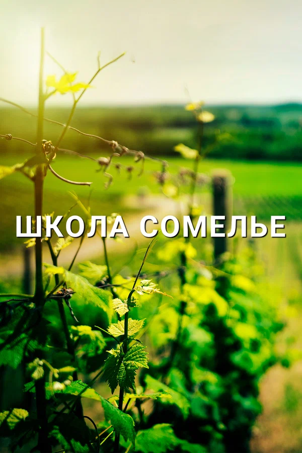 Постер: Школа сомелье