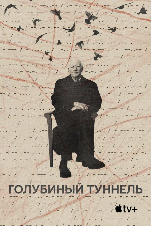 Постер: Голубиный туннель