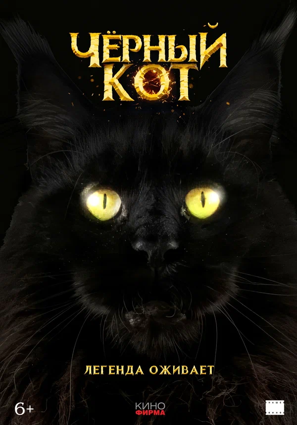 Постер: Черный кот