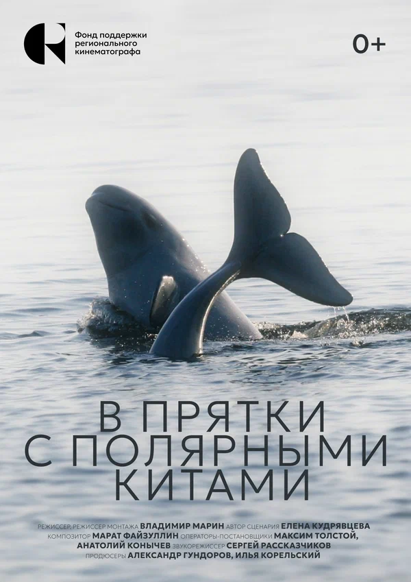 Постер: В прятки с полярными китами