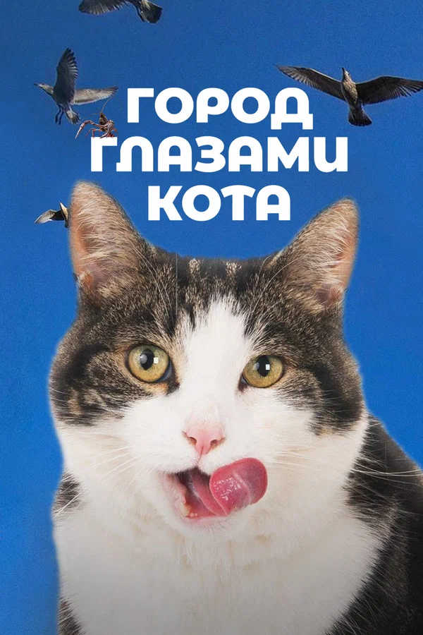 Постер: Город глазами кота