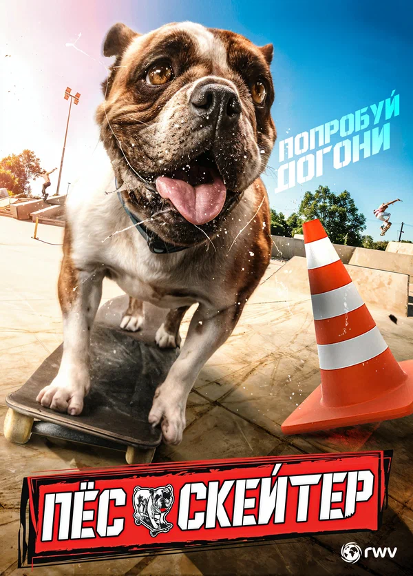 Постер: Пёс-скейтер